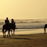 Horse riding on the beach